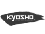 kyosho